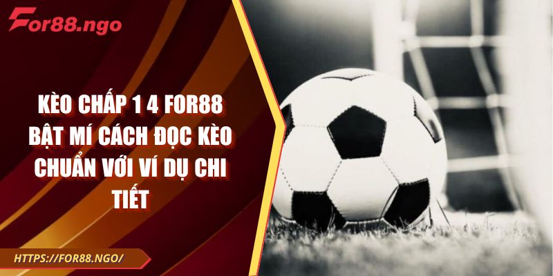Kèo chấp 1 4 FOR88 Bật Mí Cách Đọc Kèo Chuẩn Với Ví Dụ Chi Tiết